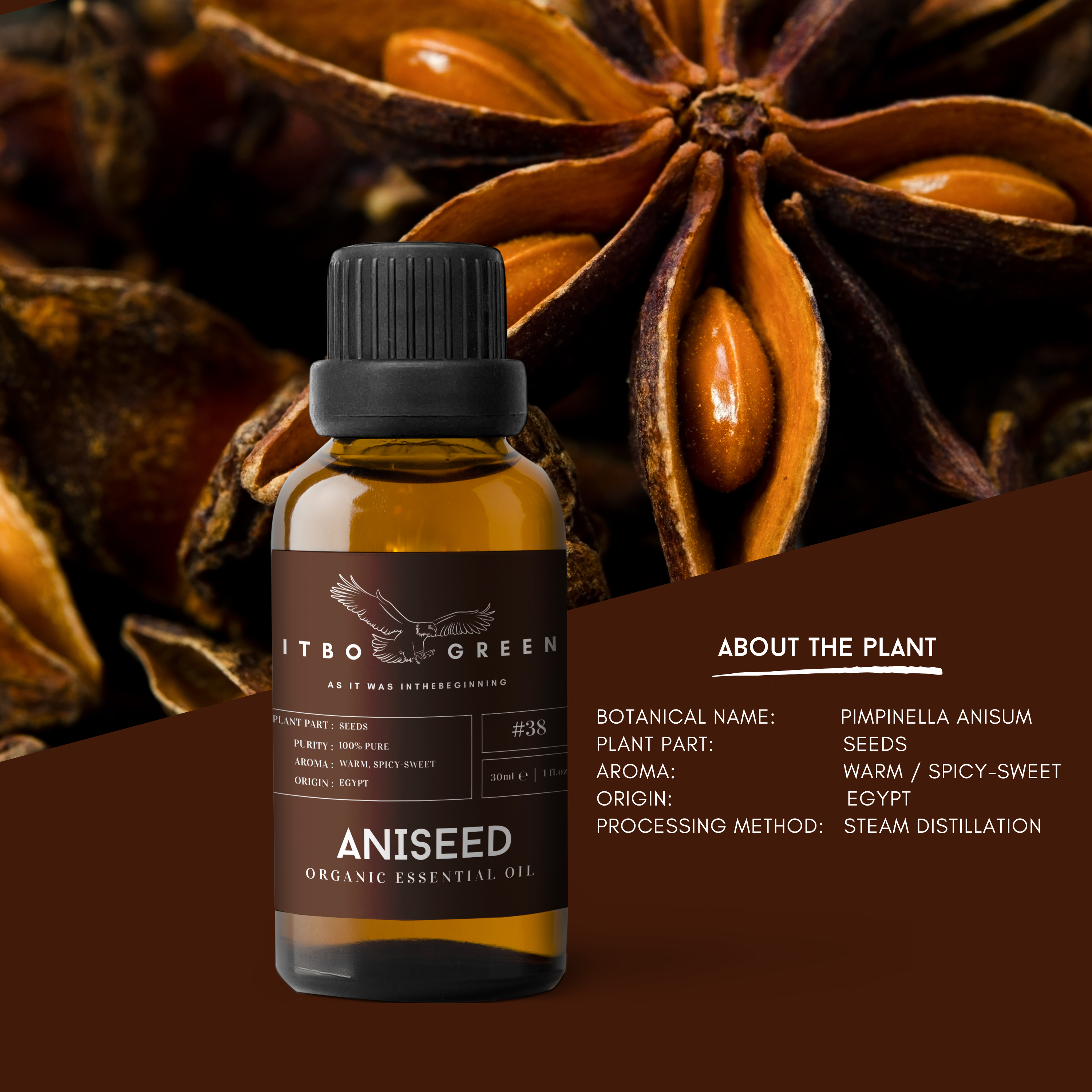 Organic Aniseed Essential Oil