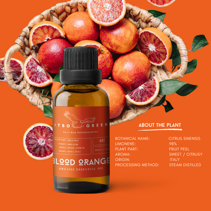 Organic Blood Orange Essential Oil | 30ml / 1oz UV Bottle | Pure Citrusy Oil | Unblended | Aromatherapy | Vegan | Spirituality| Nature Heals - ITBO Green