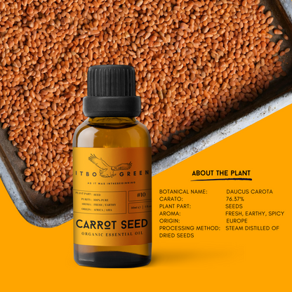 Organic Carrot Seed Essential Oil | 30ml / 1oz UV Bottle | Pure Earthy Oil | Unblended | Aromatherapy | Vegan | Spirituality| Nature Heals - ITBO Green