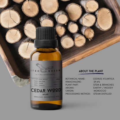 Organic Atlas CedarWood  Essential Oil | 30ml / 1oz UV Bottle | Pure Woody Oil | Unblended | Aromatherapy | Vegan | Spirituality| Nature Heals - ITBO Green