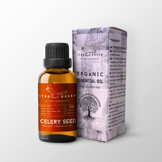Organic Celery Seed Essential Oil | 30ml / 1oz UV Bottle | Unblended | Aromatherapy | Vegan | Spirituality| Nature Heals - ITBO Green