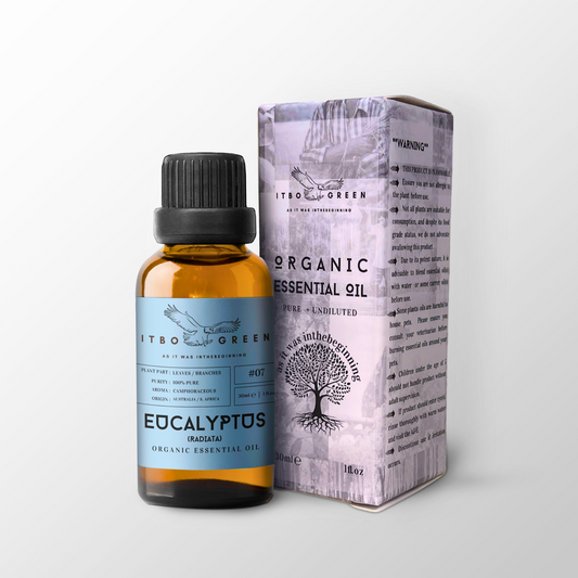 Organic Eucalyptus Radiata Essential Oil | 30ml / 1oz UV Bottle | Pure Camphoraceous Oil | Unblended | Aromatherapy | Vegan | Spirituality| Nature Heals - ITBO Green