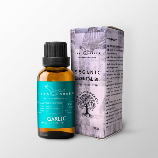 Organic Garlic Essential Oil | 30ml / 1oz UV Bottle | Unblended | Aromatherapy | Vegan | Spirituality| Nature Heals - ITBO Green