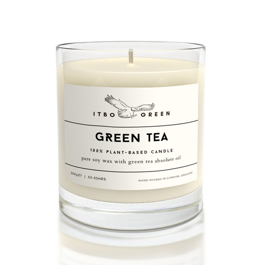 Green Tea Absolute Oil Candle
