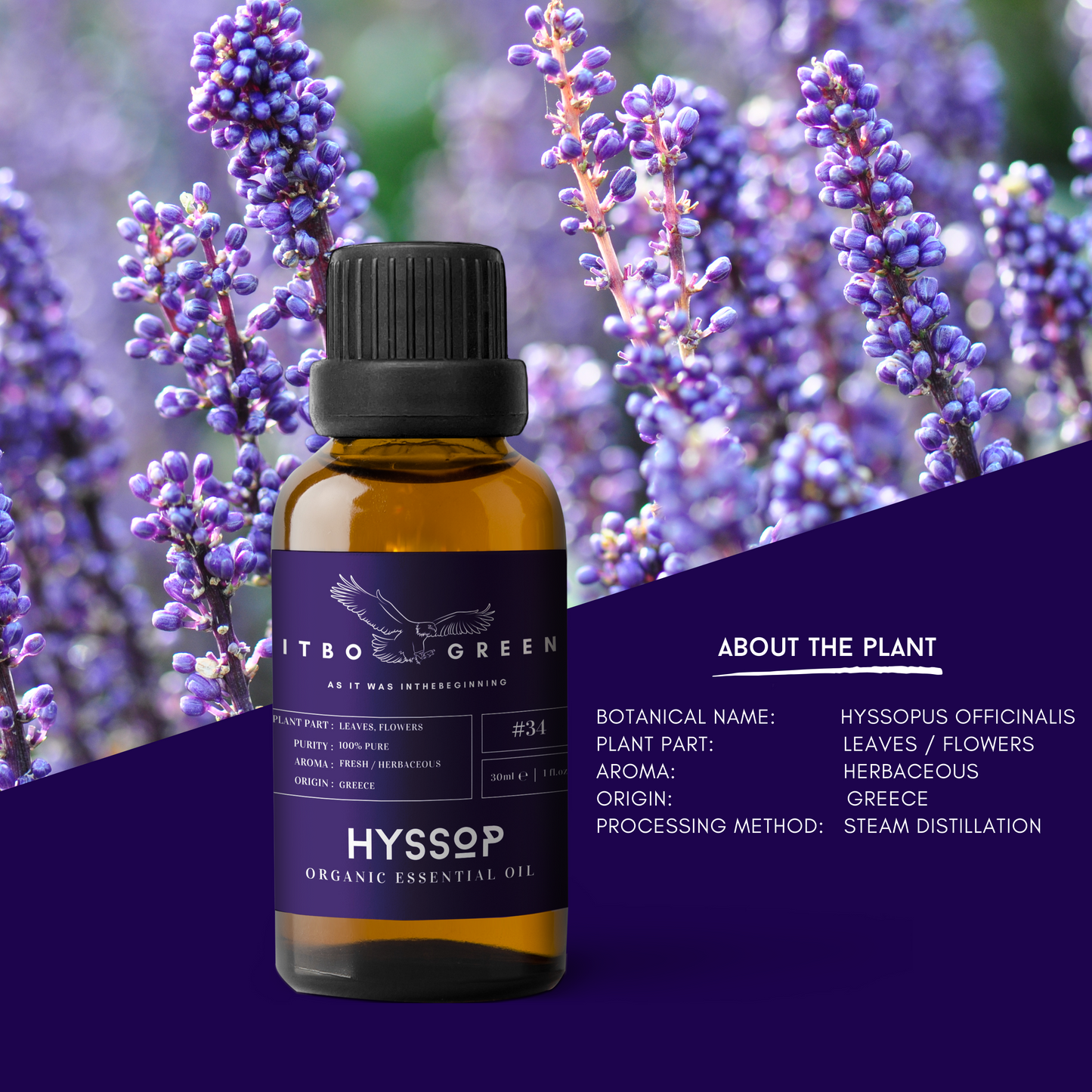 Organic Hyssop Essential Oil | 30ml / 1oz UV Bottle | Pure Woody Oil | Unblended | Aromatherapy | Vegan | Spirituality| Nature Heals - ITBO Green