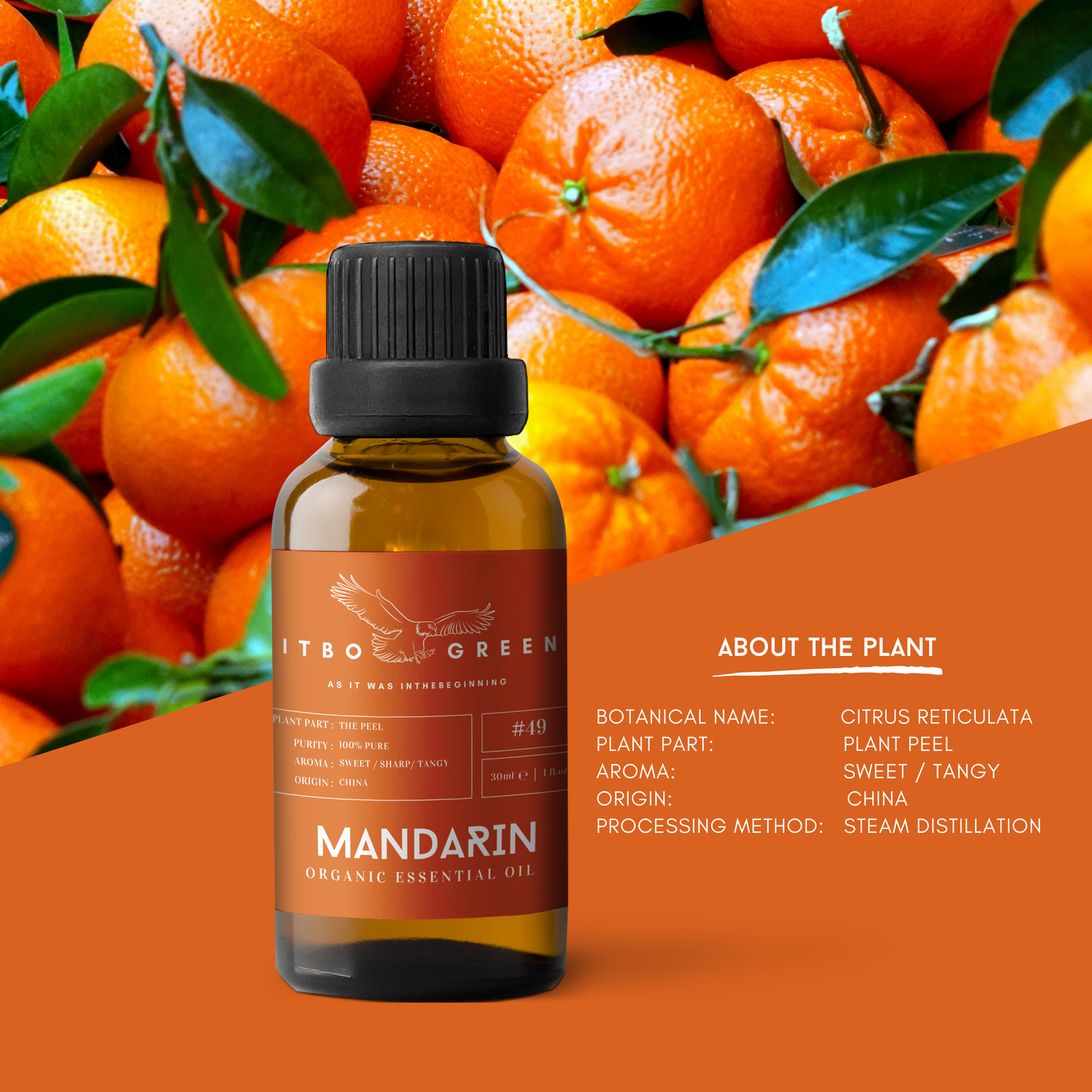 Organic Mandarin Essential Oil | 30ml / 1oz UV Bottle | Unblended | Aromatherapy | Vegan | Spirituality| Nature Heals - ITBO Green