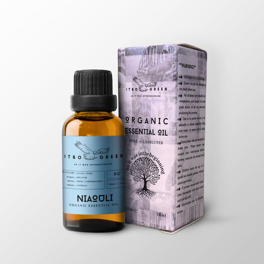 Organic Niaouli Essential Oil | 30ml / 1oz UV Bottle | Unblended | Aromatherapy | Vegan | Spirituality| Nature Heals - ITBO Green