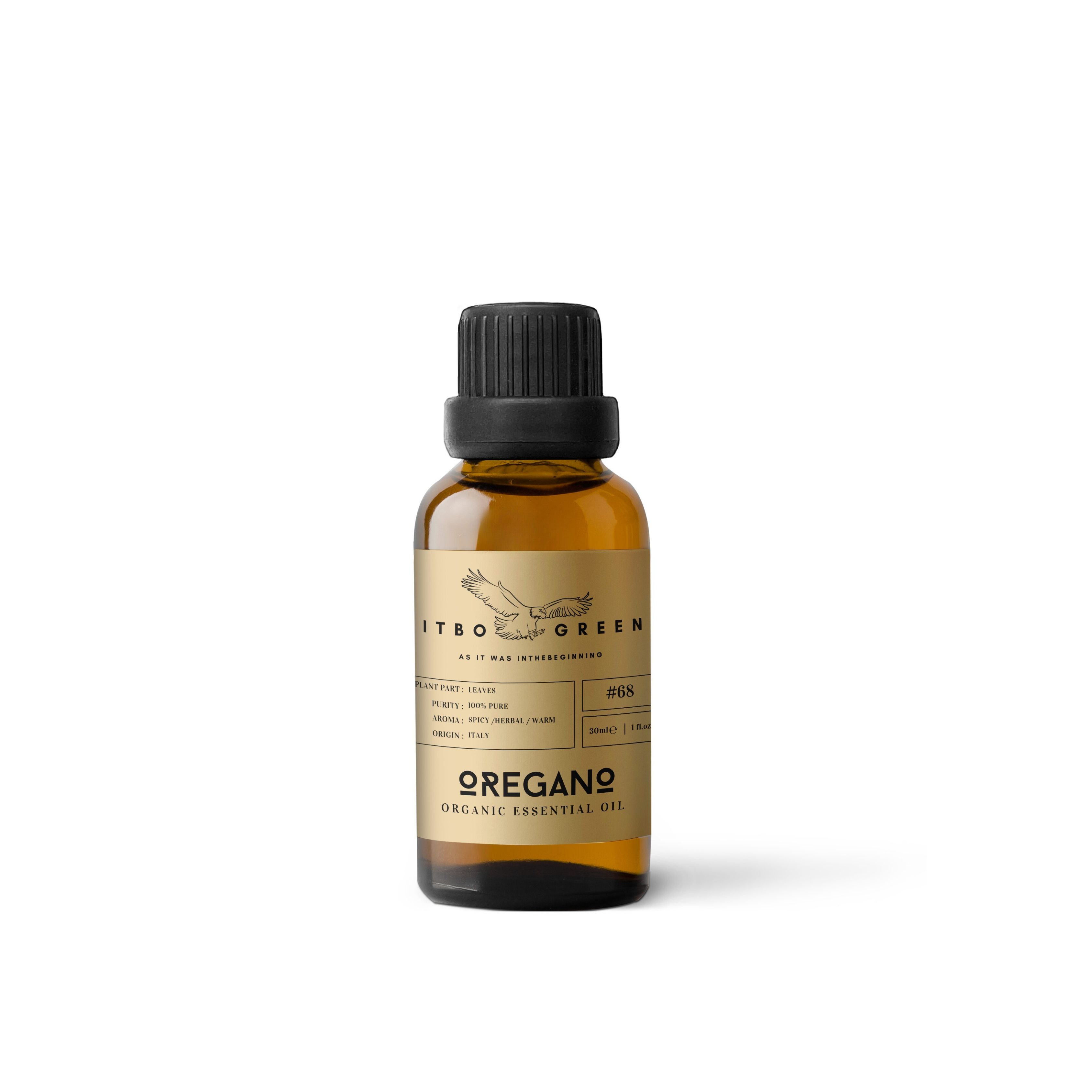 Camphoraceous Essential Oils