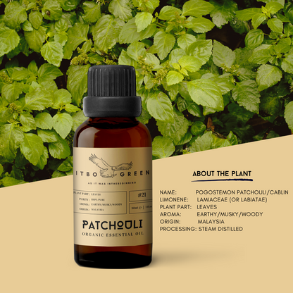 Organic Patchouli (Dark) Essential Oil | Pure Earthy Oil |  | 30ml / 1oz UV Bottle | Unblended | Aromatherapy | Vegan | Spirituality| Nature Heals - ITBO Green