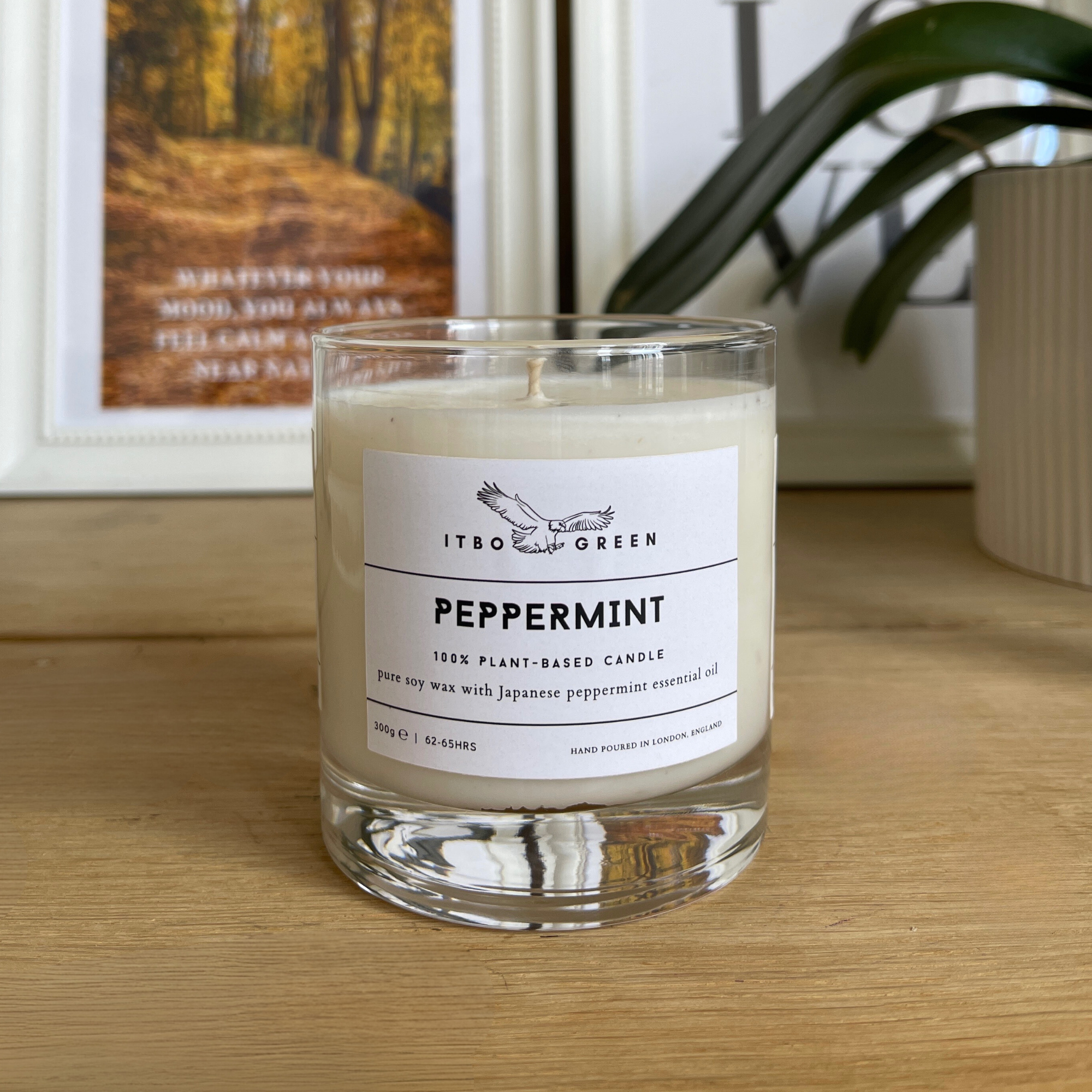 Peppermint Essential Oil Candle