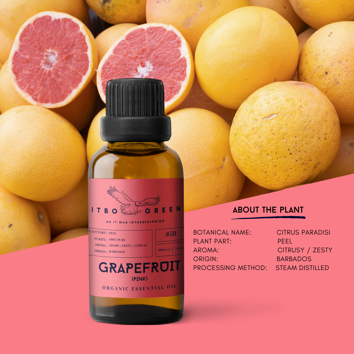 Organic Pink Grapefruit Essential Oil | 30ml / 1oz UV Bottle | Unblended | Aromatherapy | Vegan | Spirituality| Nature Heals - ITBO Green