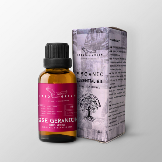 Organic Rose Geranium (South Africa) Essential Oil | 30ml / 1oz UV Bottle | Pure Woody Oil | Unblended | Aromatherapy | Vegan | Spirituality| Nature Heals - ITBO Green