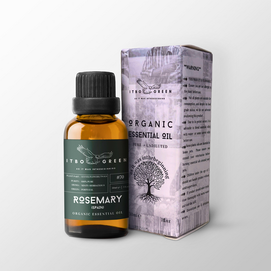 Organic Rosemary (Spain) Essential Oil | 30ml / 1oz UV Bottle | Unblended | Aromatherapy | Vegan | Spirituality| Nature Heals - ITBO Green