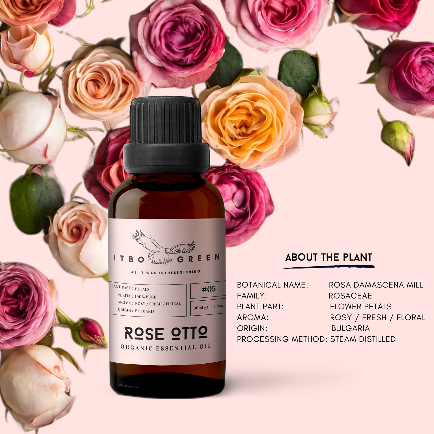 Organic Rose Otto Essential Oil - | 30ml / 1oz UV Bottle | Pure Floral Oil | Unblended | Aromatherapy | Vegan | Spirituality| Nature Heals - ITBO Green