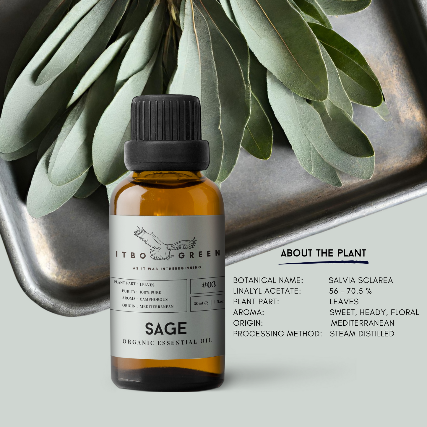 Organic Sage Essential Oil | 30ml / 1oz UV Bottle | Pure Herbaceous Oil | Unblended | Aromatherapy | Vegan | Spirituality| Nature Heals - ITBO Green