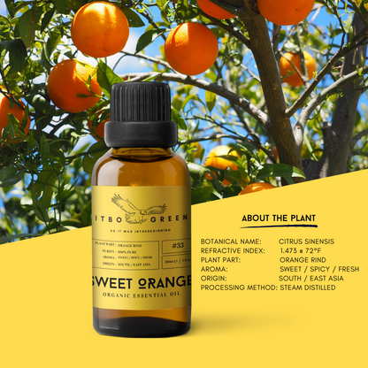 Organic Sweet Orange Essential Oil | 30ml / 1oz UV Bottle | Pure Citrusy Oil | Unblended | Aromatherapy | Vegan | Spirituality| Nature Heals - ITBO Green