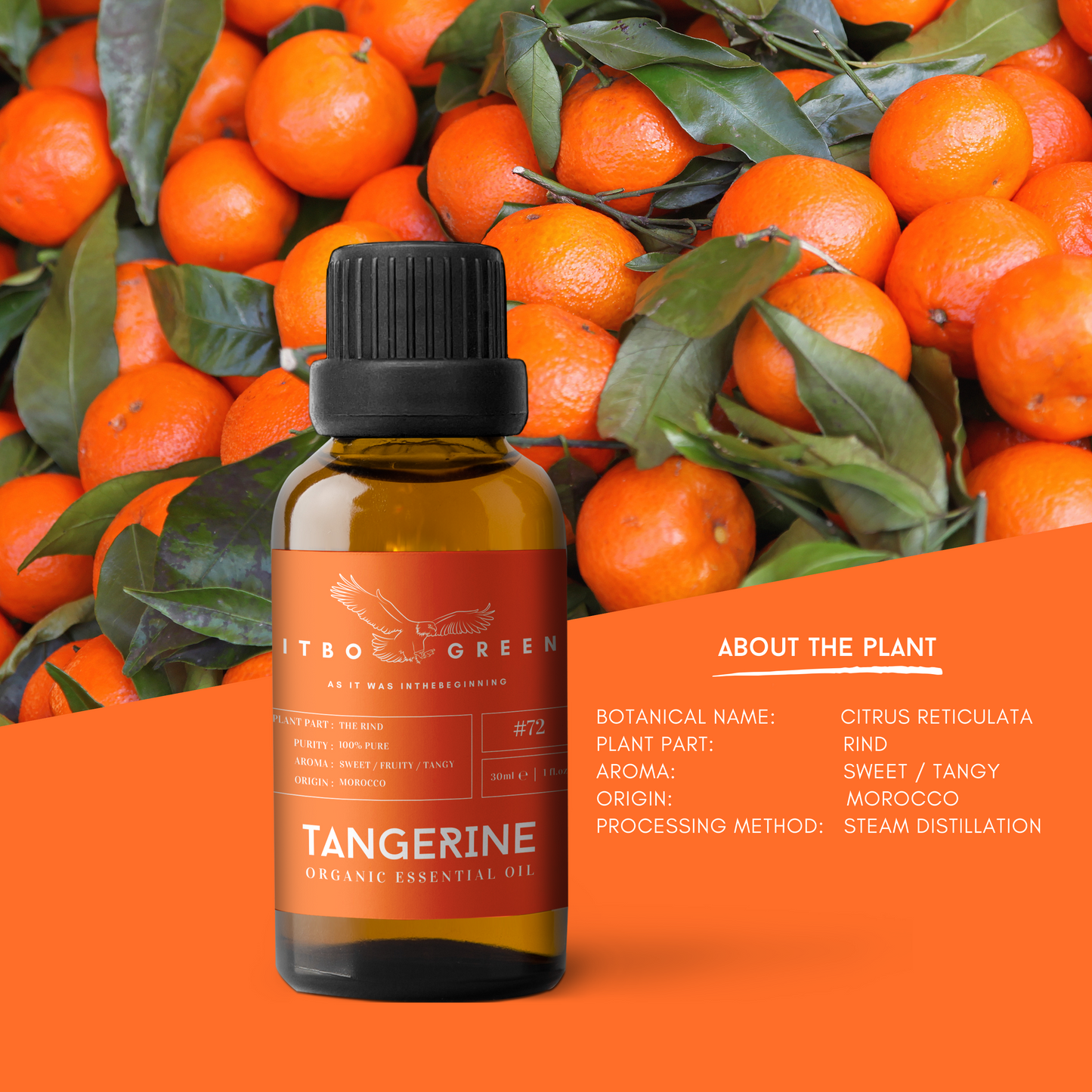 Organic Tangerine Essential Oil | 30ml / 1oz UV Bottle | Unblended | Aromatherapy | Vegan | Spirituality| Nature Heals - ITBO Green
