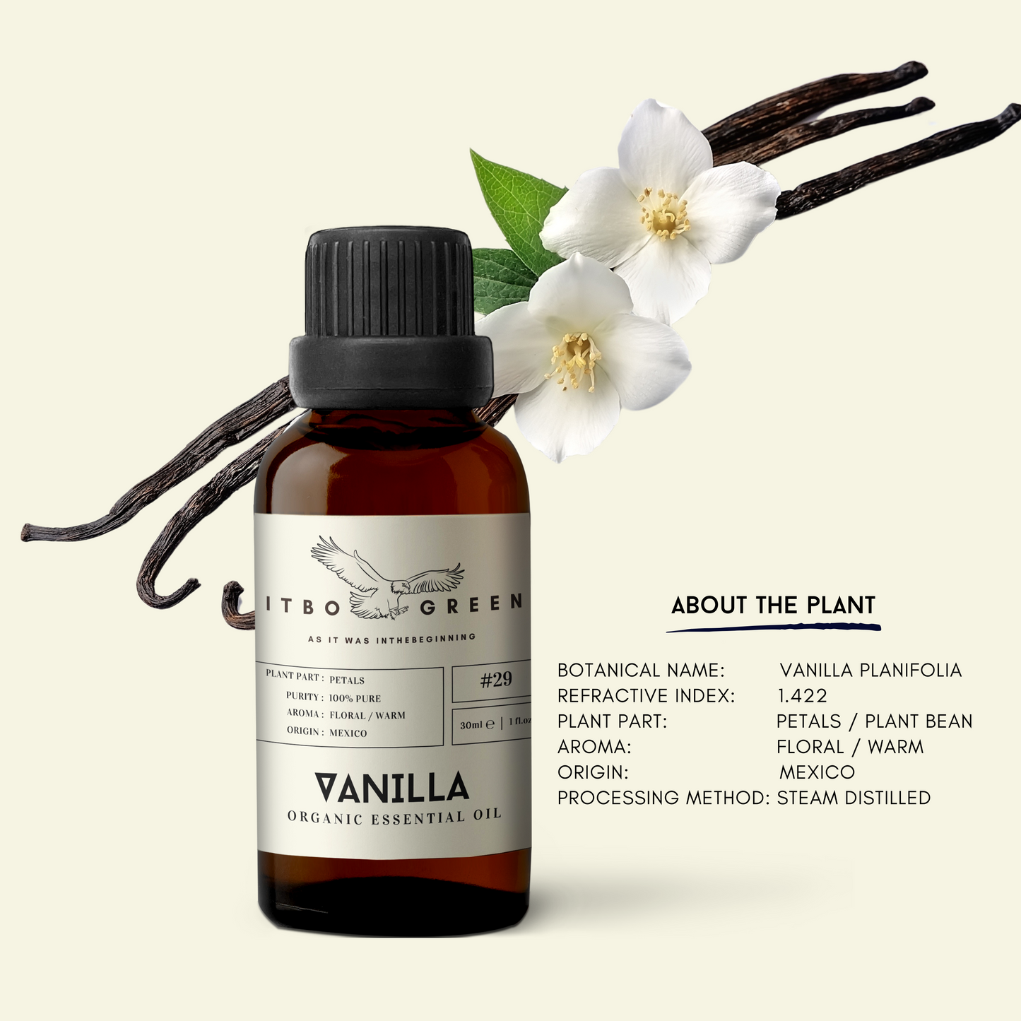 Organic Vanilla Oleoresin Oil | 30ml / 1oz UV Bottle | Pure Floral Oil | Unblended | Aromatherapy | Vegan | Spirituality| Nature Heals - ITBO Green
