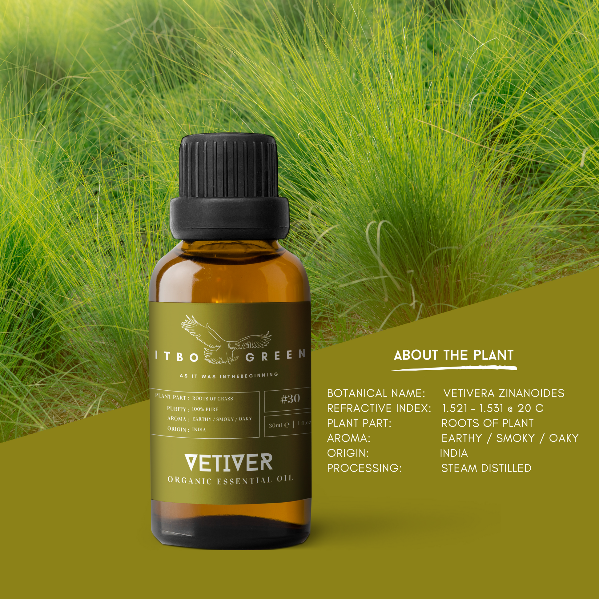 Organic Vetiver Essential Oil | 30ml / 1oz UV Bottle | Pure Earthy Oil | Unblended | Aromatherapy | Vegan | Spirituality| Nature Heals - ITBO Green
